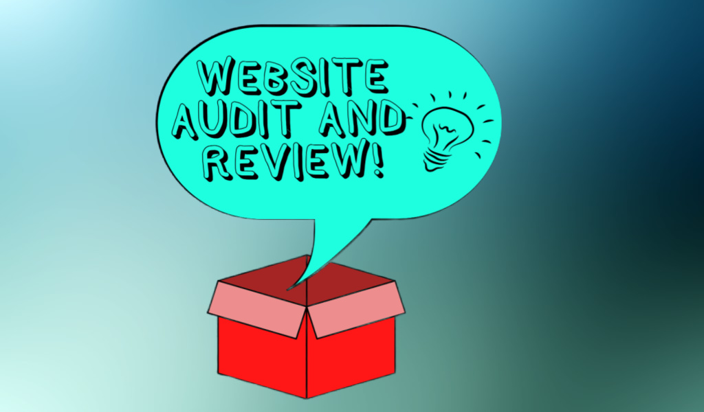 wordpress site audit