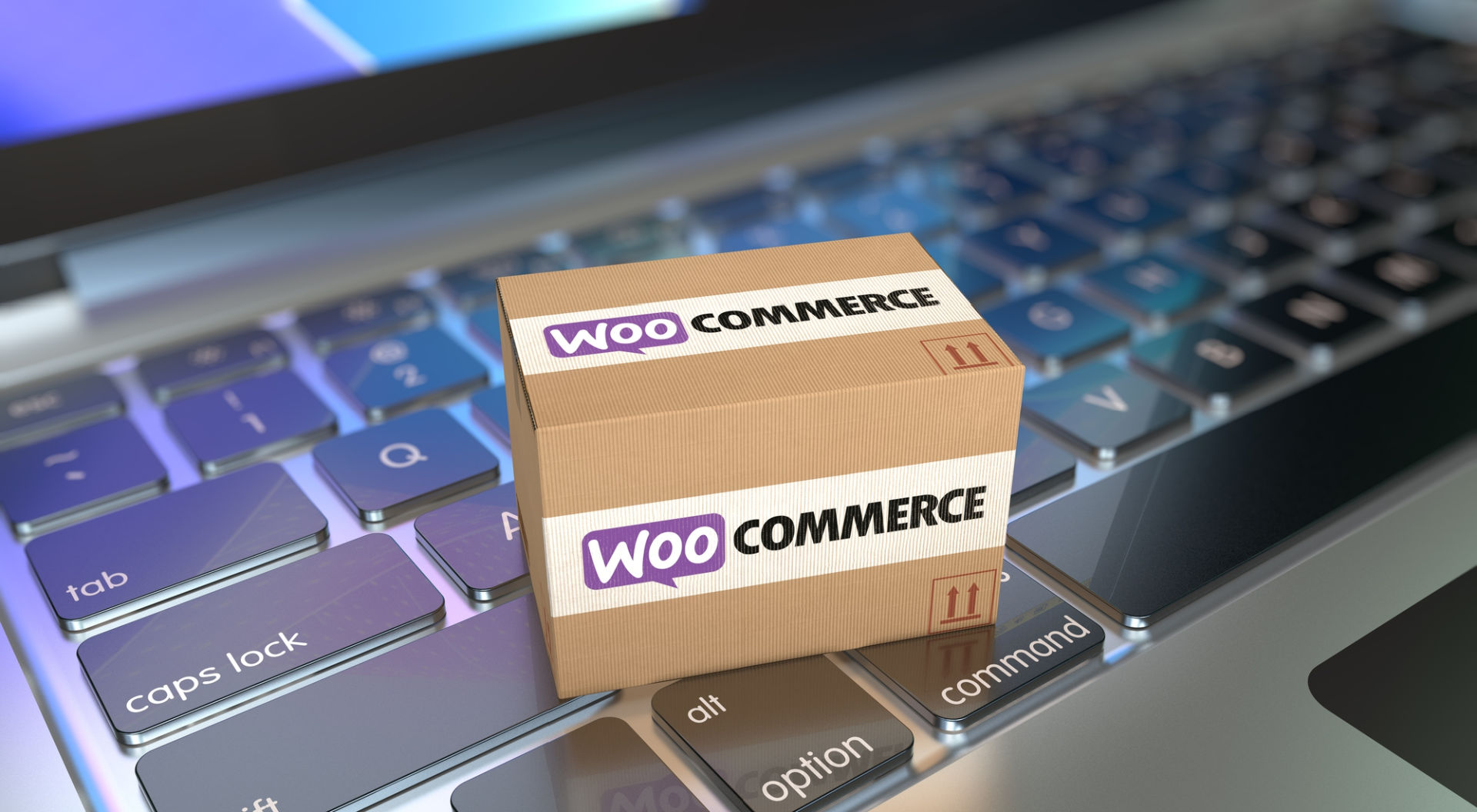 woocommerce 2025